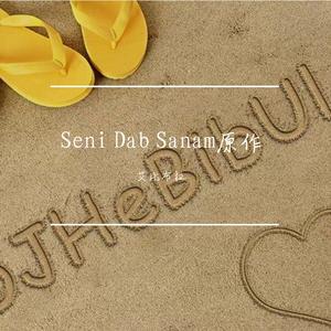 Seni Dab Sanam原作