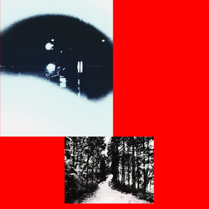 알코올으로 해결되지 않는다