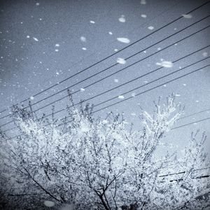 화려한 계절(The Season) (INSTRUMENTAL) (With Chorus) (Chorus Version)