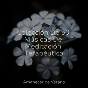 Rapsodia de Aroma Encantado