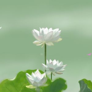 红色高跟鞋