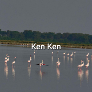 Ken Ken
