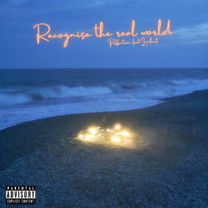 Recognise the real world (Prod. by 房间里的大象/Trai5or)