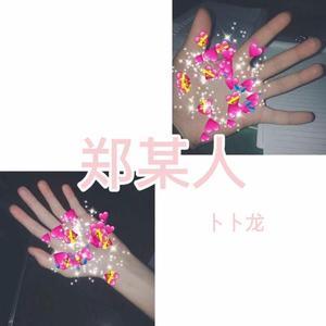 郑某人