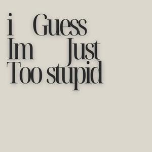 i guess im just too stupid