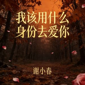 我该用什么身份去爱你(伴奏)