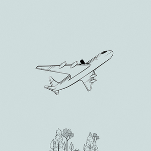 crates (with forest birds)