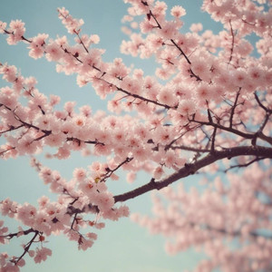 さよならの季節