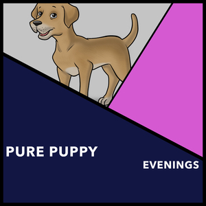 Golden Boy Sleep Sounds