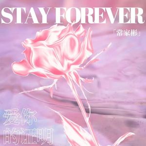 爱你的证明 (Stay Forever)