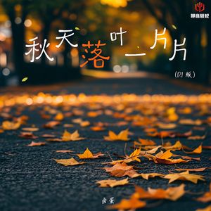 秋天叶落一片片(DJ版)