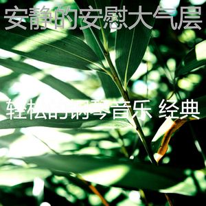 一尘不染读印象数