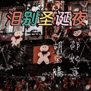 泪别圣诞夜