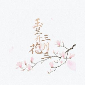 玉兰开花三月三