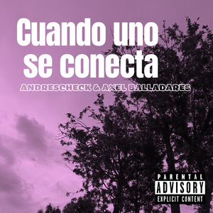 Cuando uno se conecta