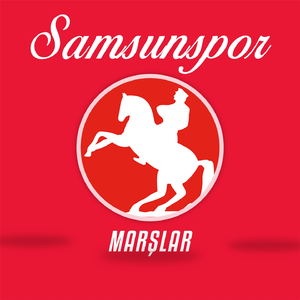 Samsunspor Yemini