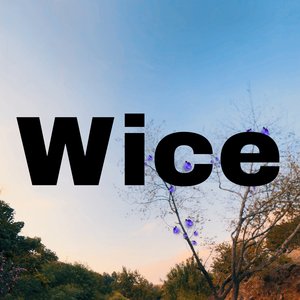 Wice