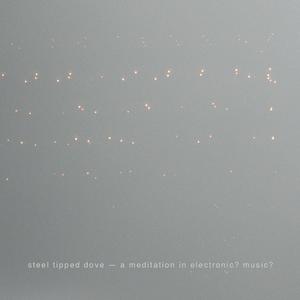 A Meditation in Electronic? Music?