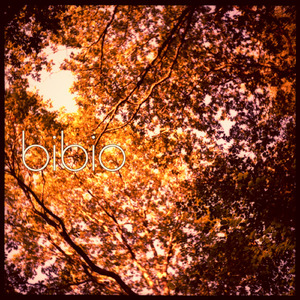 palm of your wave (bibio remix)