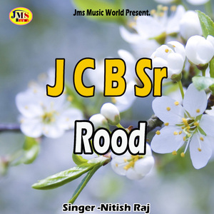 J C B Sr Rood