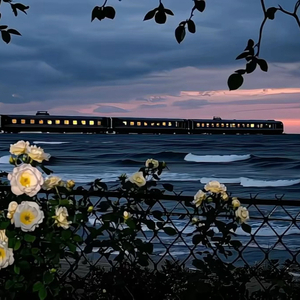 自称时间的天使