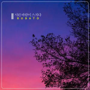 시린 바람이 스치다