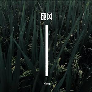 话说一半