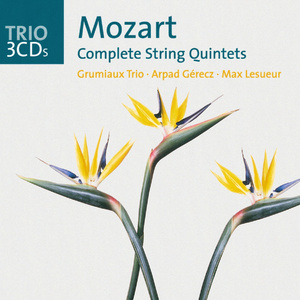 String Quintet in D Major K.593:3. Menuetto (Allegretto)