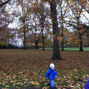 我的世界太无聊