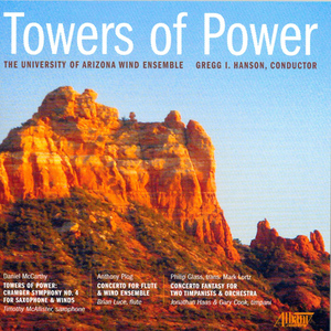 Flute Concerto:I. Andante - Allegro moderato