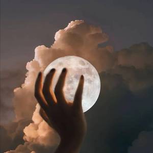 理想三旬