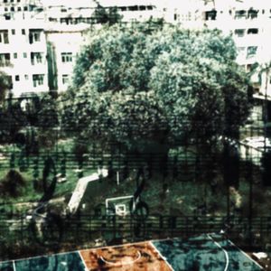 我不敢去揭穿我不敢去怀疑