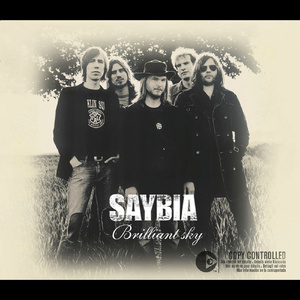 It's Ok Love (Live at Roskilde)