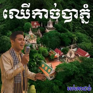 ឈេីកាច់បាភ្នំ នៅតែពីរោះលោកពូ ណយវ៉ាន់ណេត)