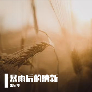 暴雨后的清新Prod.費奈爾蘭德