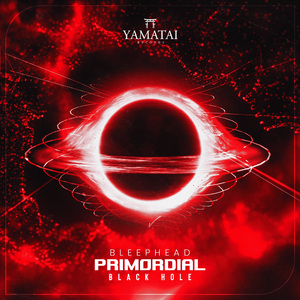 Primordial Black Hole