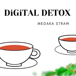 DiGiTAL DETOX