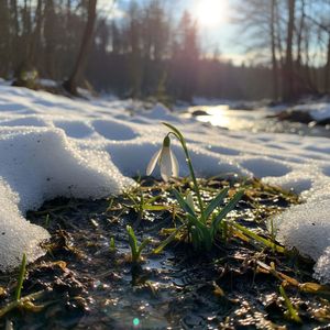 Прерванный полёт