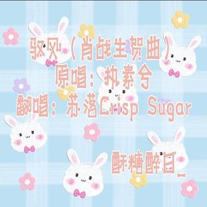 驭风（肖战生贺曲）