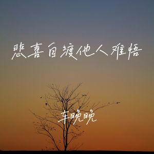 悲喜自渡他人难悟
