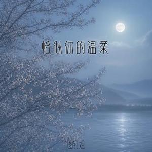 恰似你的温柔