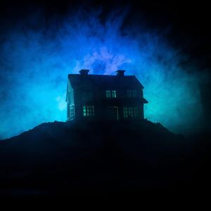 New Super Mario Bros. Wii Ghost House Theme (Original Video Game Soundtrack)