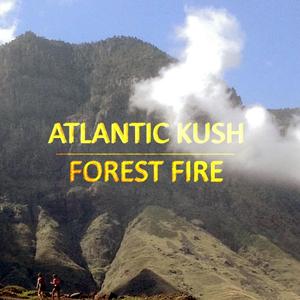 Occulture (Remastered) (Remastered)