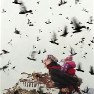 幸福拉萨（feat：泽郎扎西）