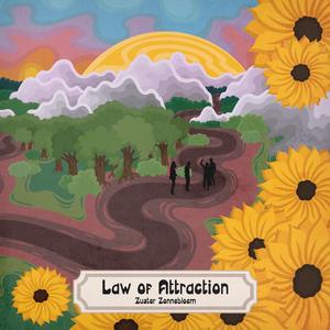 Law of Attraction