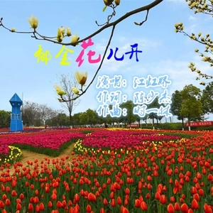 郁金花儿开（江虹娇演唱）