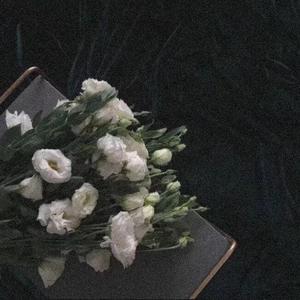 在夜里我想你时