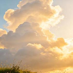 秋日物语 (Cover 两百)