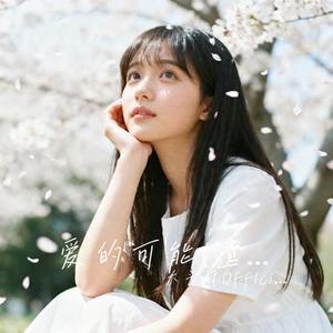 爱的可能 (大头针Offlcial Remix)