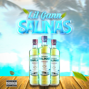 Salinas